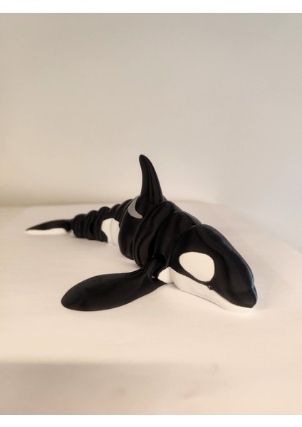 Elite Orca Balina Hareketli Oyuncak –3d Baskı – Büyük Versiyon (26 Cm) 1 Adet
