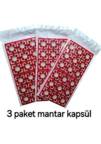 Elite 3 Adet 18LI Mantar Kapsül Kovboy Nostaljik Silah Mermisi Mantar Mermi 1 Adet