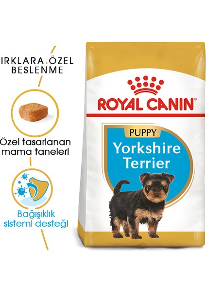 Yorkshire Terrier Puppy Yavru Köpek Maması 1,5 Kg