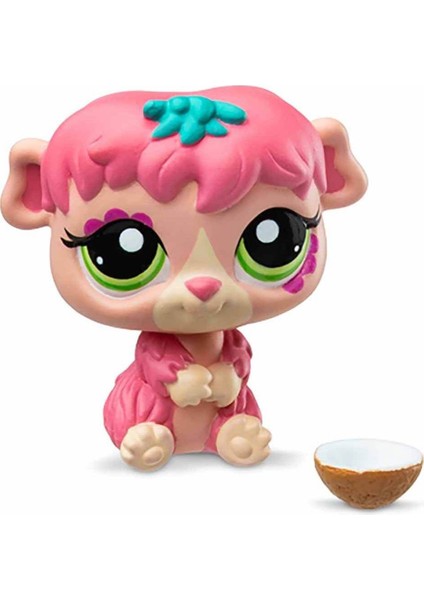 Elite Minişler Tekli Paket S3 - Ginepig 1 Adet fiyatları