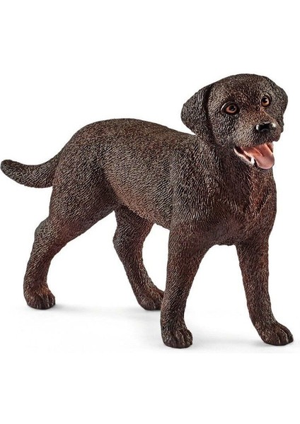 Elite 13834 Schleich - Dişi Labrador Retriever +3 Yaş 1 Adet