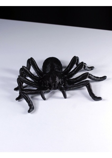Elite Tarantula Örümcek Figür Oyuncak (Siyah) 1 Adet