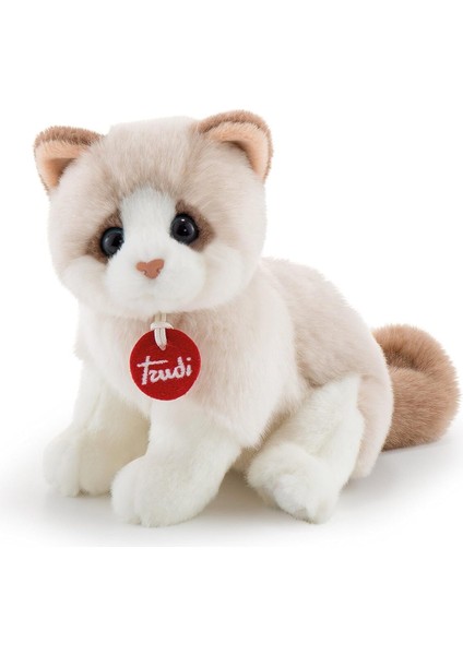 Elite Acelya 20872 Kedi Brad Pelüş, Beyaz/bej, 24 cm Star Shop Trend 1058548 1 Adet