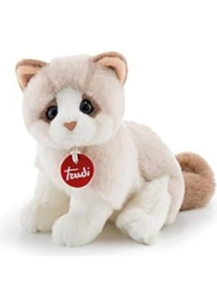 Elite Acelya 20872 Kedi Brad Pelüş, Beyaz/bej, 24 cm Star Shop Trend 1058548 1 Adet