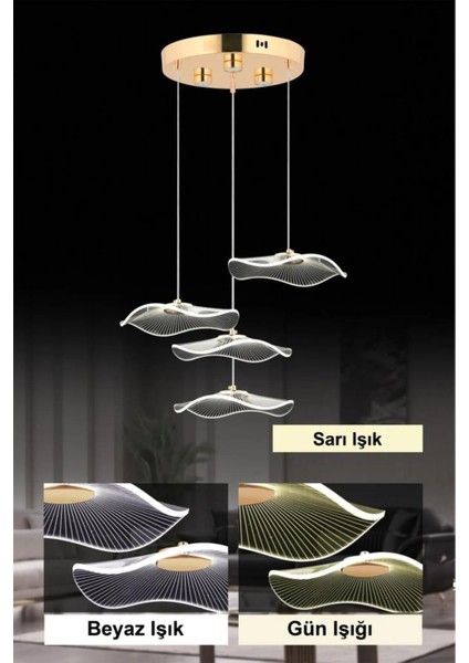 Istanbul Avize Şapka 4'lü Gold Üç Renk LED Lüx Modern Ledli Avize