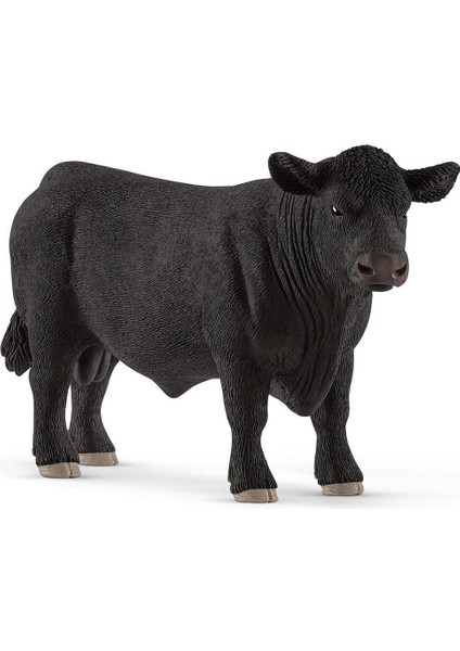 Elite CFW13879 Schleich Angus Boğa Siyah 1 Adet