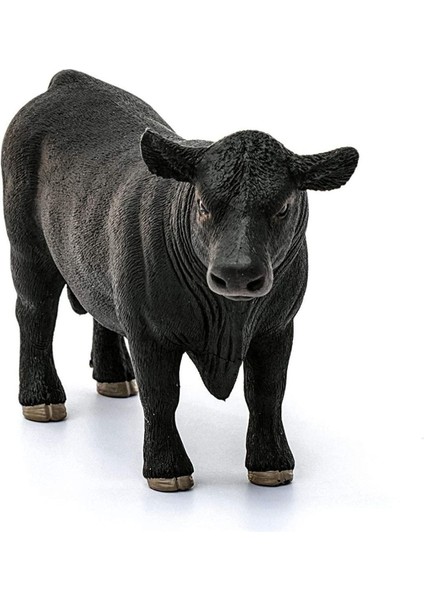 Elite CFW13879 Schleich Angus Boğa Siyah 1 Adet