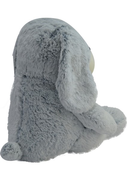 Kırçıllı Köpek Peluş 45 Cm 62344 fiyatları