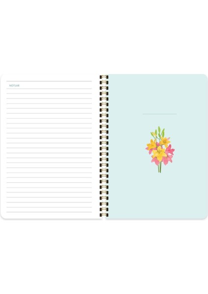 A5 Sert Kapak Haftalık Süresiz Ajanda fiyatları