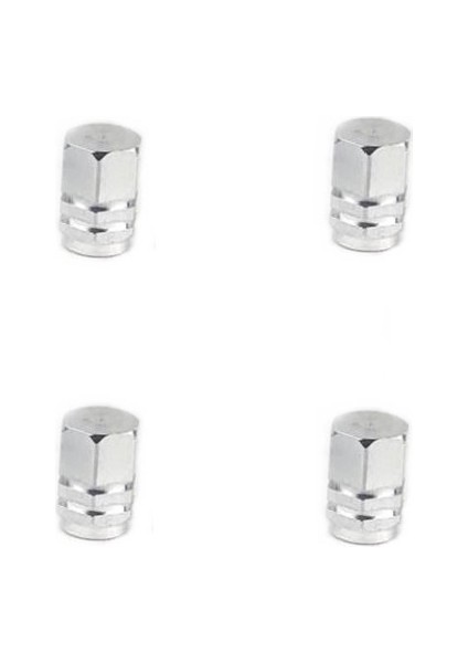 Şıklık ve Dayanıklılık Bir Arada: Nikel Kaplama Otovo Sibop Kapakları