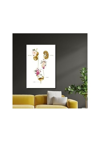Gaagart Tekli Dikey Kanvas Üroloji Poliklinik Tablosu Boşaltım Sistemi, 50 x 70