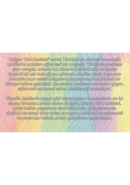 Mısfıttens Sürpriz Kutu Çılgın Türk Kedileri Serisi Süpriz Peluş modelleri