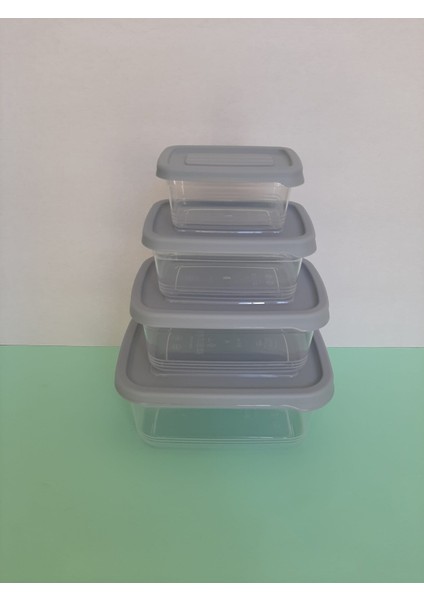 4 Adet Dikdörtgen Saklama Kabı Dörtlü Plastik Saklama Kabı Hobby Life Festiva fırsatları