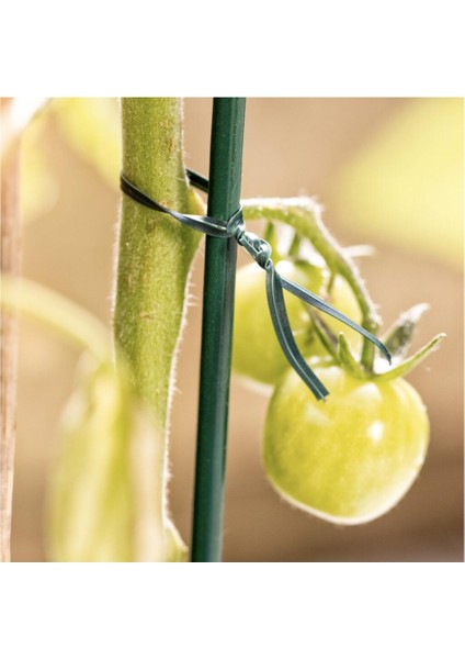 Bitki Sabitleme Teli Yeşil 30M fiyatları