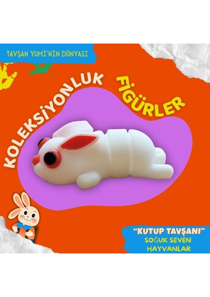 Soğuk Seven Hayvanlar Koleksiyonu - 4 Parça Hareketli Oyuncaklar ve Bilgilendirici Kartlar - Fok Balığı, Penguen, Tavşan, Kutup Ayısı fiyatları