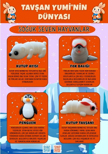 Soğuk Seven Hayvanlar Koleksiyonu - 4 Parça Hareketli Oyuncaklar ve Bilgilendirici Kartlar - Fok Balığı, Penguen, Tavşan, Kutup Ayısı