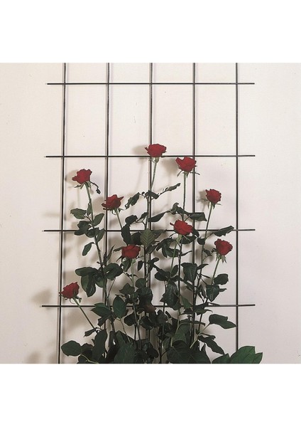 Çiçek Destek Kafesi Yeşil 60*150CM fiyatları