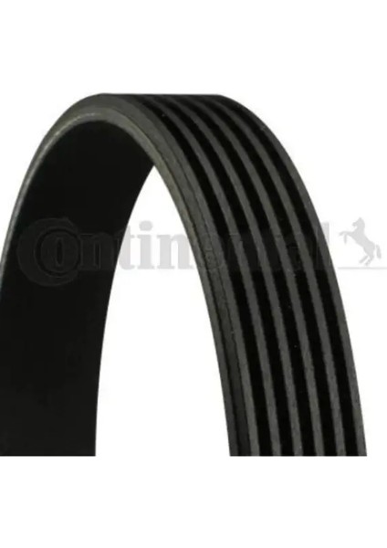 Kanallı Kayıs (6PK1125) Klımalı TU3JP TU5JP4 ET3J4 307 Em 107 C2 C3 / C3 Plurıel Transporter T5 Polo