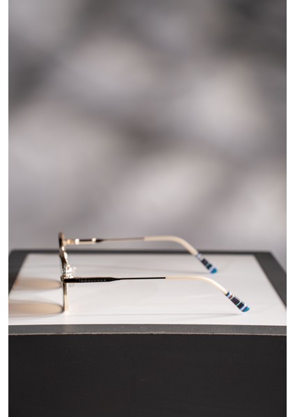 Güneş Gözlüğü MS-249-C6 modelleri