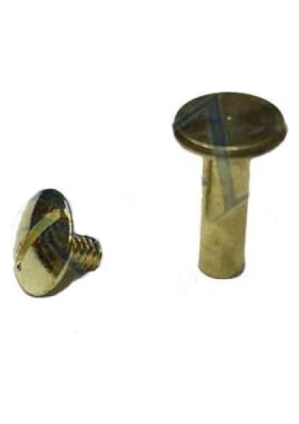 Cilt Menü, Katalog, Kartela Vidası, 20 mm - Sarı, 100 Adet