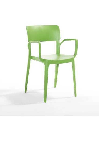 Panora Sandalye 4'lü