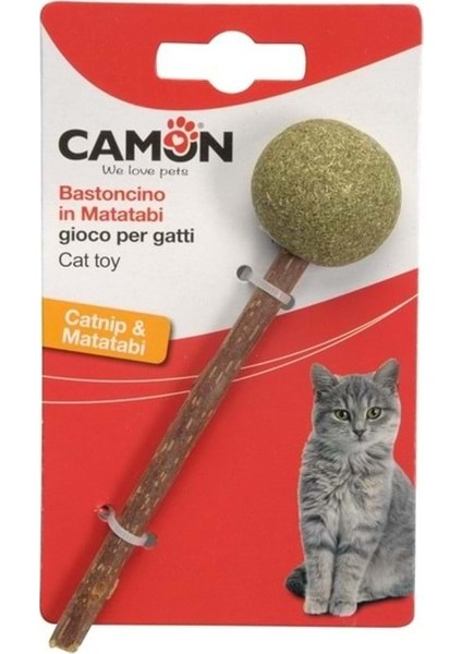 Catnip Toplu Matatabi 14 cm