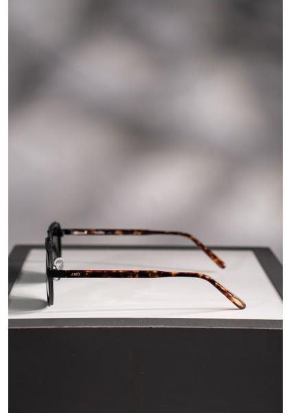 Güneş Gözlüğü LG-329-C31 modelleri