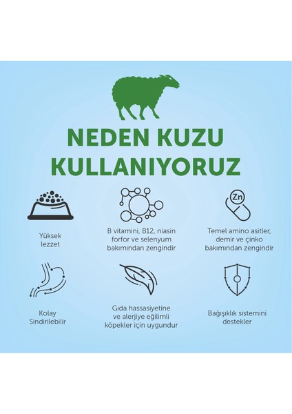 Nature's Protection Yetişkin Kuzulu Köpek Maması 12kg fırsatları