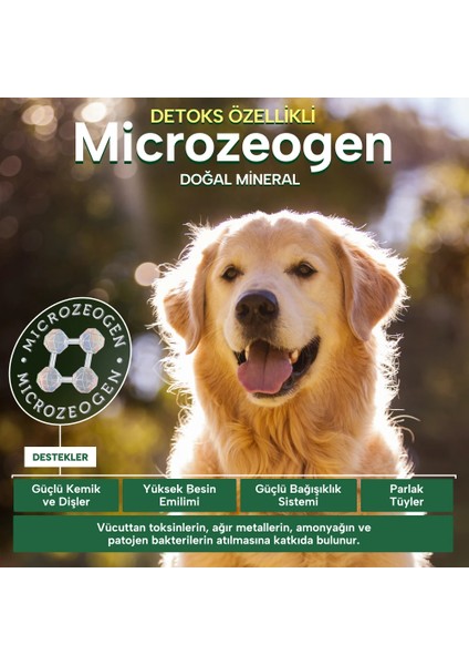 Nature's Protection Somonlu Yetişkin Köpek Maması 12kg modelleri
