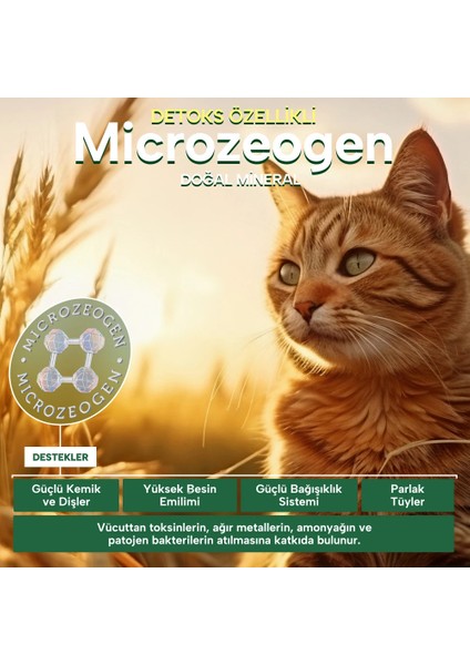 Nature's Protection İndoor Kümes Hayvanlı Yetişkin Kedi Maması 2kg modelleri
