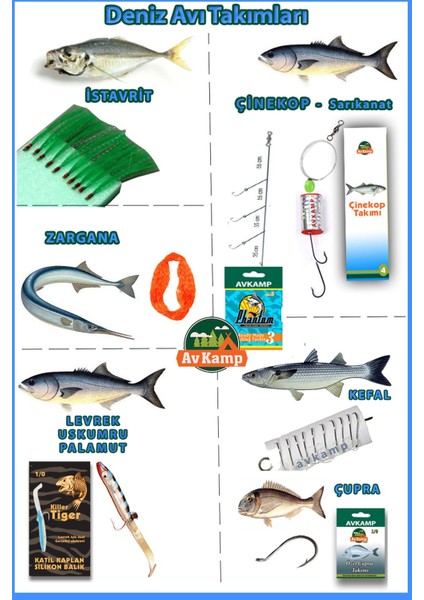 Surf Karbon Olta Takımı 4.2 Metre Shore Catcher fiyatları
