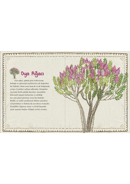 Doğa Parmaklarımın Ucunda fiyatları