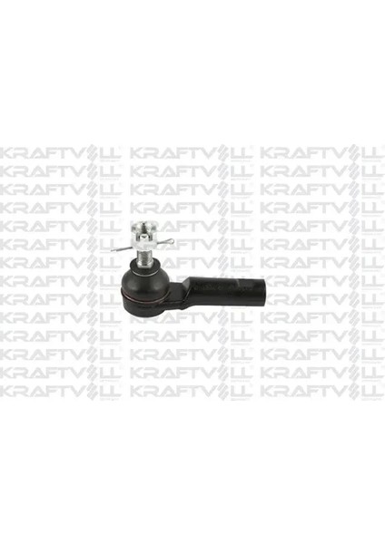 Rotbası Laurel Altıma C32