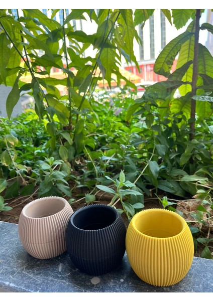 Kaktüs Saksı fiyatları