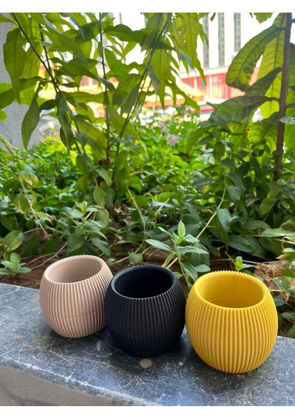 Kaktüs Saksı modelleri