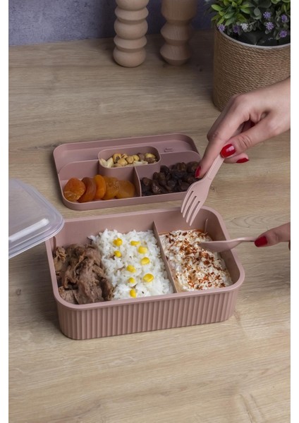 Çizgili 5 Bölmeli Beslenme Kutusu Çatal Kaşıklı Şeffaf Kapaklı Sızdırmaz Lunch Box Okul Ofis (1 Adet) fiyatları