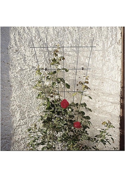 Çiçek Destek Kafesi Yeşil 150CM V Dizayn fiyatları