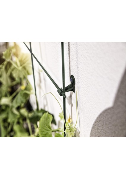 Çiçek Destek Kafesi Yeşil 75*150CM fiyatları