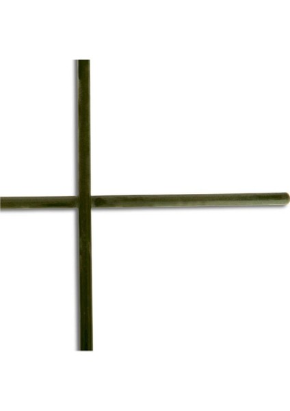 Çiçek Destek Kafesi Yeşil 75*150CM modelleri