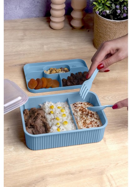 Çizgili 5 Bölmeli Beslenme Kutusu Çatal Kaşıklı Şeffaf Kapaklı Sızdırmaz Lunch Box Okul Ofis (1 Adet) fırsatları