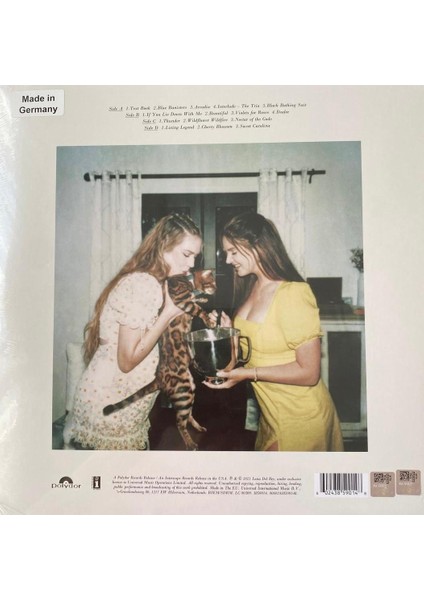 Sora Pak Lana Del Rey Blue Banisters (2 Plak) fiyatları