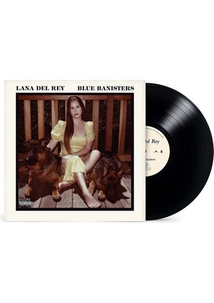 Sora Pak Lana Del Rey Blue Banisters (2 Plak) modelleri