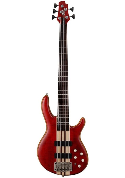 Bas Gitar 5 Telli Open Pore Black Cherry