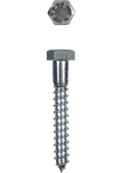 Trifon Vida 8X120 mm (5 Adet)