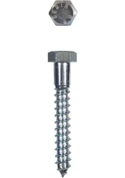 Trifon Vida 8X80 mm (5 Adet)