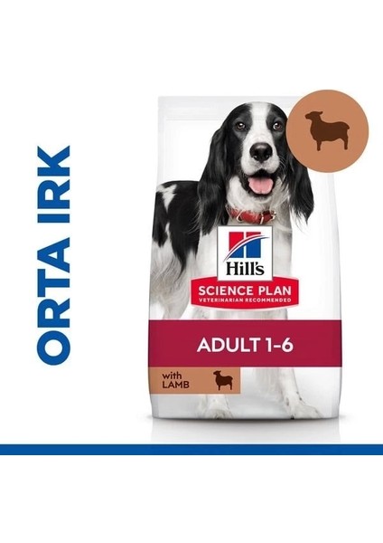 Hills Kuzu Etli Orta Irk Yetişkin Köpek Maması 2.5 kg