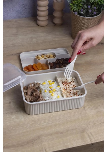 Çizgili 5 Bölmeli Beslenme Kutusu Çatal Kaşıklı Şeffaf Kapaklı Sızdırmaz Lunch Box Okul Ofis (1 Adet)