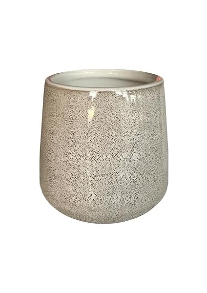 Bjorn Di̇ş Firçalik