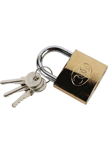 63 mm Asma Kilit Gri Kısa