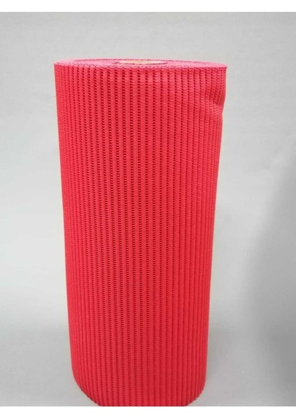 Aqua Mat Islak Zemin Kaydırmaz Çok Amaçlı Paspası 65 cm Eninde